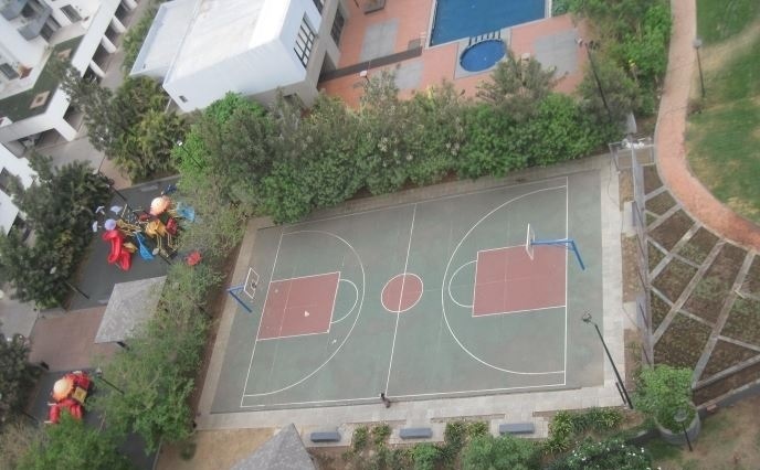 Pride Purple Park Titanium