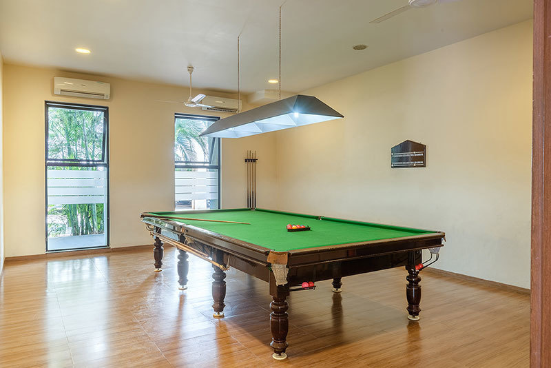 Pride Purple Park Titanium