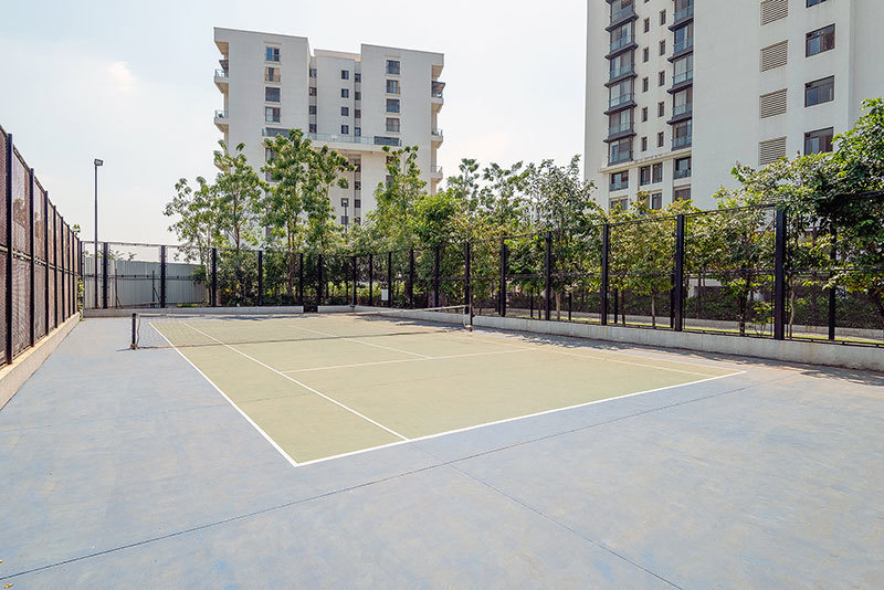 Pride Purple Park Titanium