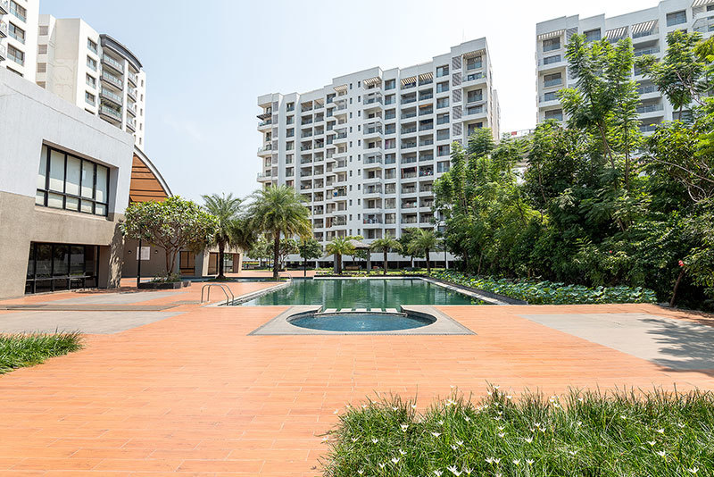 Pride Purple Park Titanium