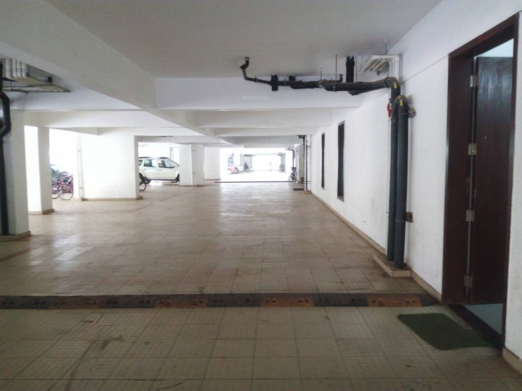 Pride Purple Park Titanium