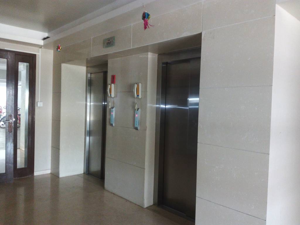 Pride Purple Park Titanium