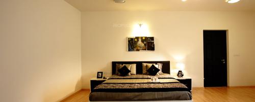  dew-flower Images for Main Other of Sobha Dew Flower