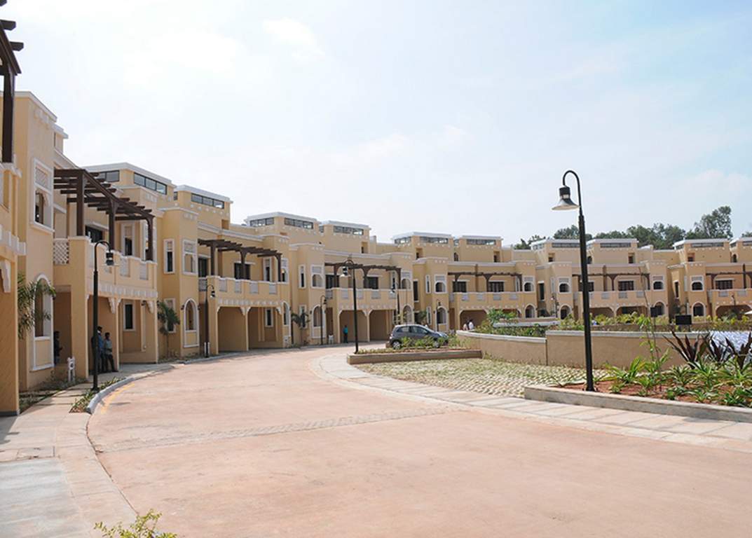  silver oak Images for Elevation of Prestige Silver Oak