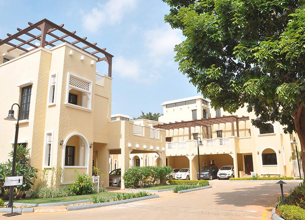  silver oak Images for Elevation of Prestige Silver Oak