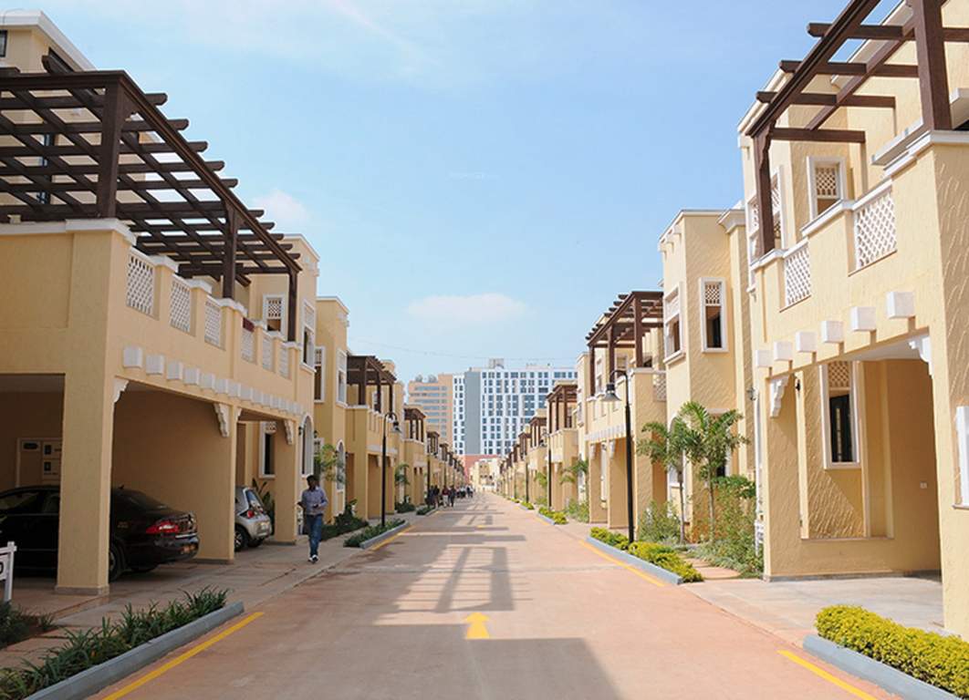  silver oak Images for Elevation of Prestige Silver Oak