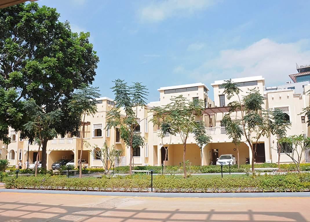  silver oak Images for Elevation of Prestige Silver Oak