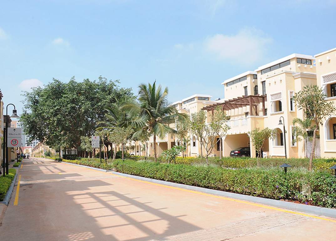  silver oak Images for Elevation of Prestige Silver Oak