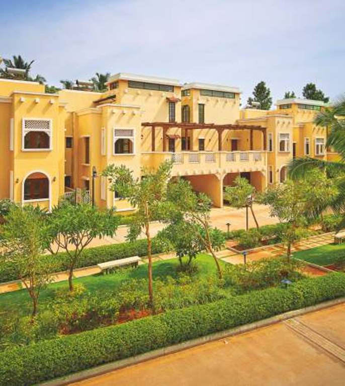  silver oak Images for Elevation of Prestige Silver Oak