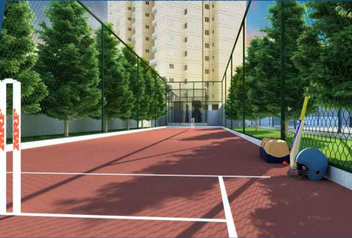  silver oak Cricket Pitch