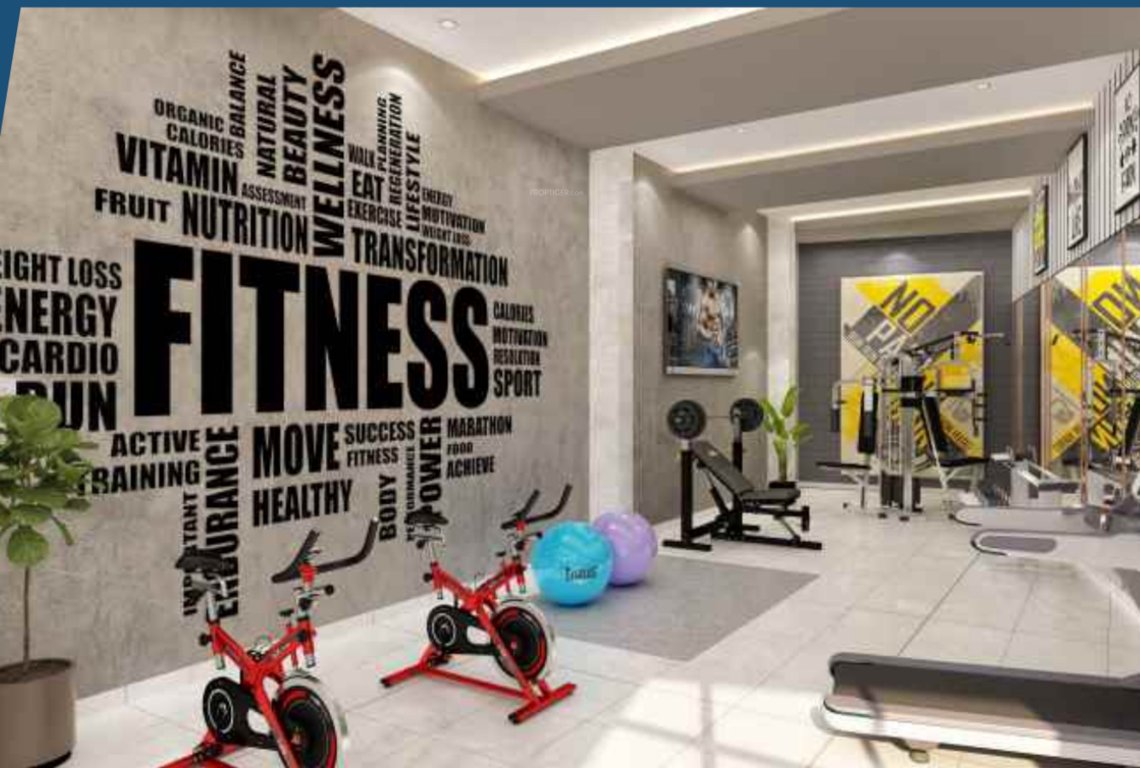  silver oak Gymnasium