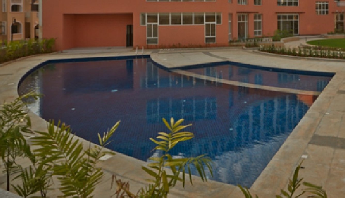  silver oak Swimming Pool