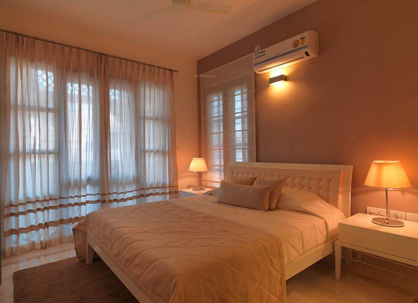  silver oak Images for Main Other of Prestige Silver Oak