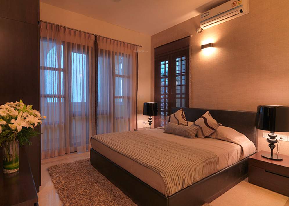  silver oak Images for Main Other of Prestige Silver Oak