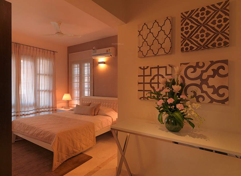  silver oak Images for Main Other of Prestige Silver Oak