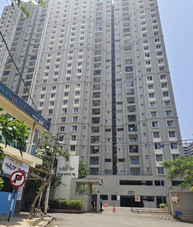 forest view Elevation