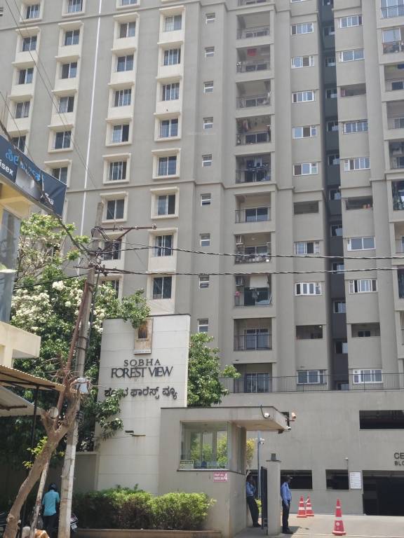 forest view Elevation