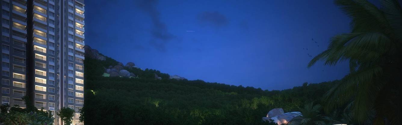 forest view Images for Project