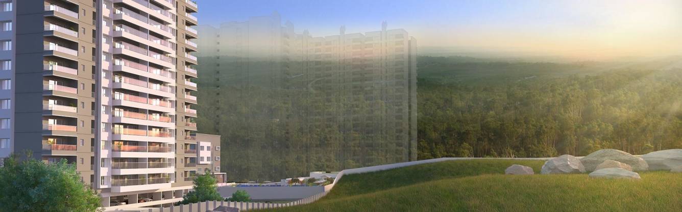 forest view Images for Project