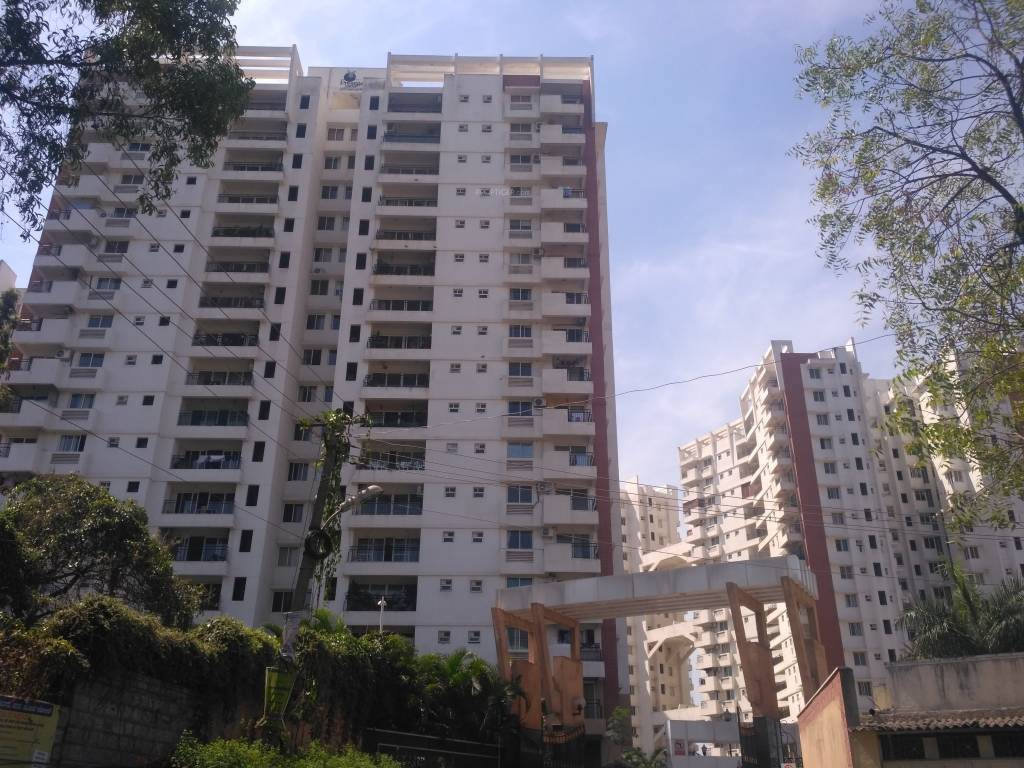  south ridge Elevation