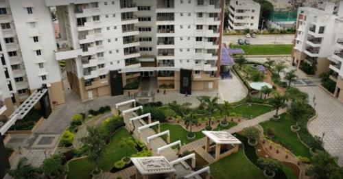  south-ridge Landscape Garden and Tree Planting