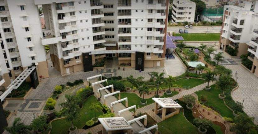  south ridge Landscape Garden and Tree Planting