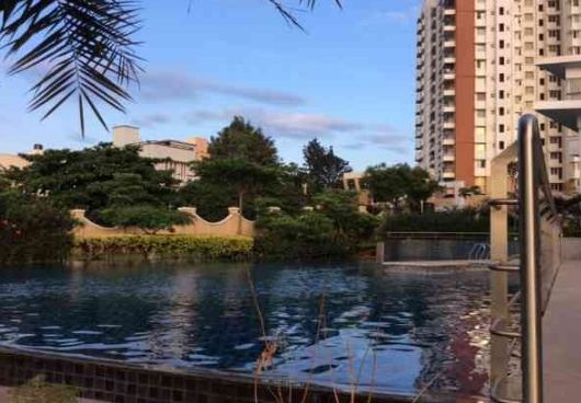  south-ridge Swimming Pool