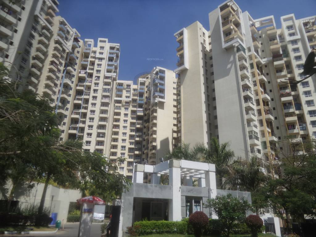 Images for Elevation of Purva Highland