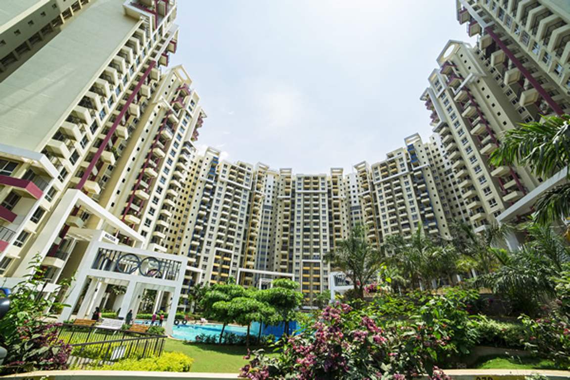  highland Images for Elevation of Purva Highland