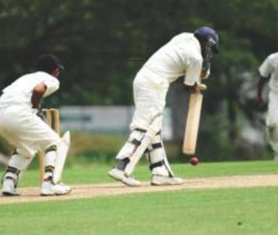  aspire Cricket Pitch