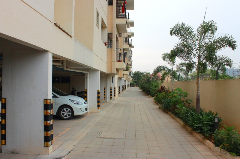  paradise Jogging Track