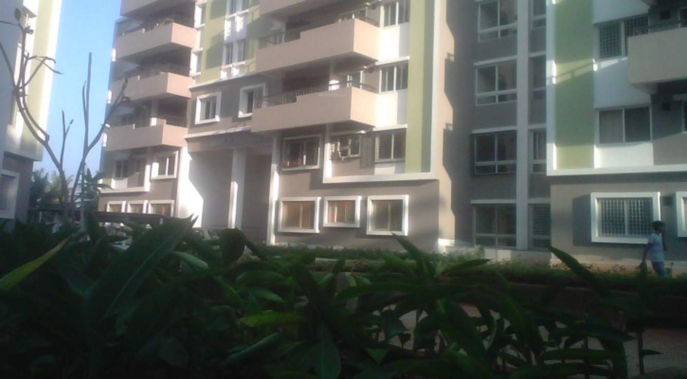  sjr luxuria Images for Elevation of Bren SJR Luxuria