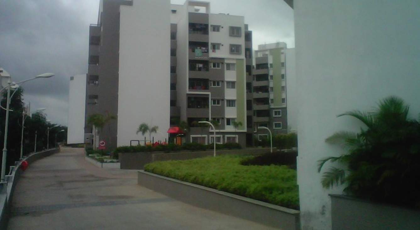  sjr luxuria Images for Elevation of Bren SJR Luxuria