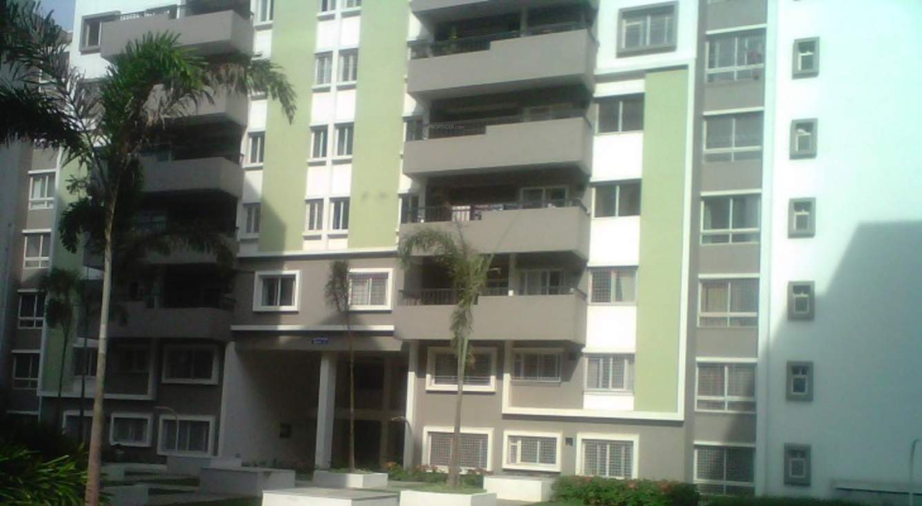  sjr luxuria Images for Elevation of Bren SJR Luxuria