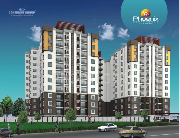  phoenix Images for Elevation of Confident Phoenix