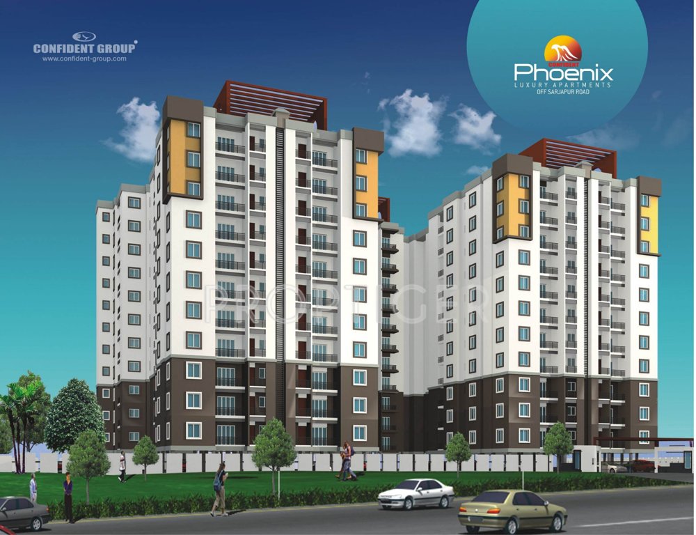  phoenix Images for Elevation of Confident Phoenix