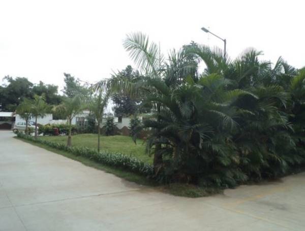  phoenix Landscaped Gardens