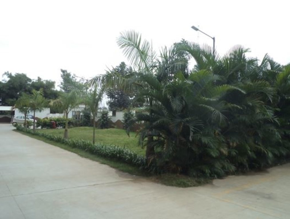  phoenix Landscaped Gardens