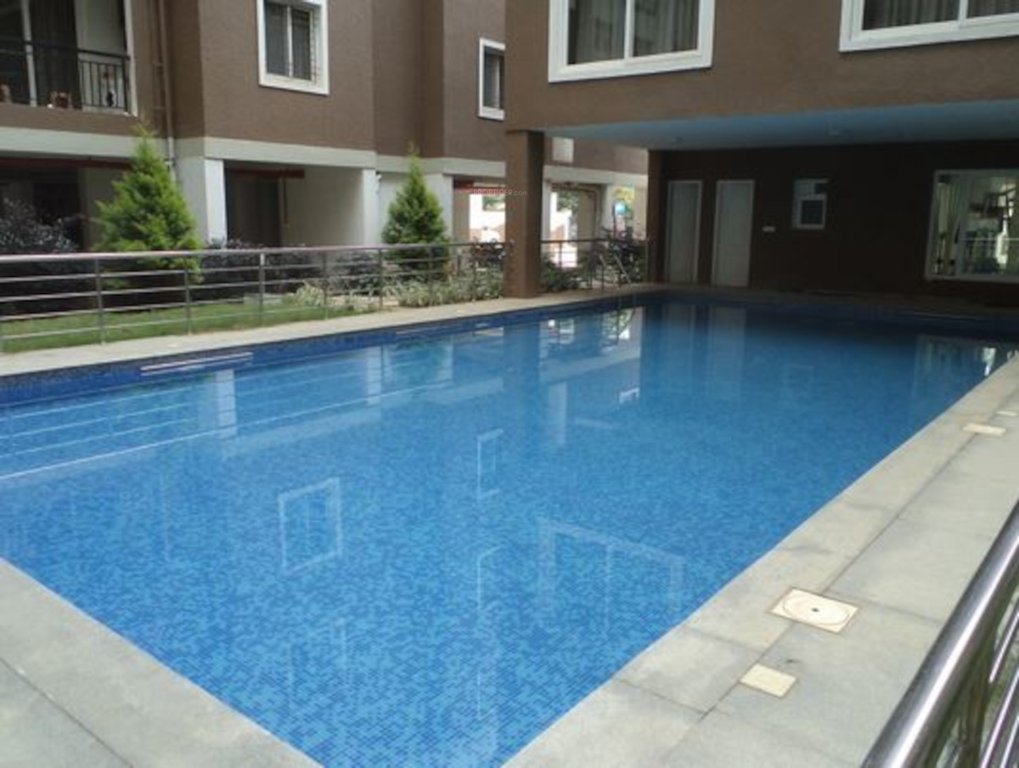  phoenix Swimming Pool