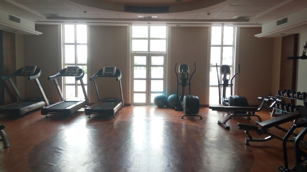 DLF New Town Heights