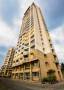 HM Constructions Tropical Tree