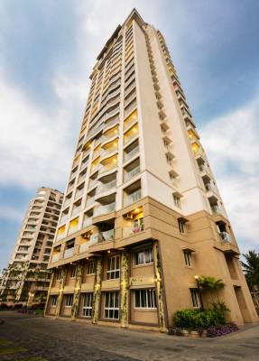 tropical-tree Elevation Elevation