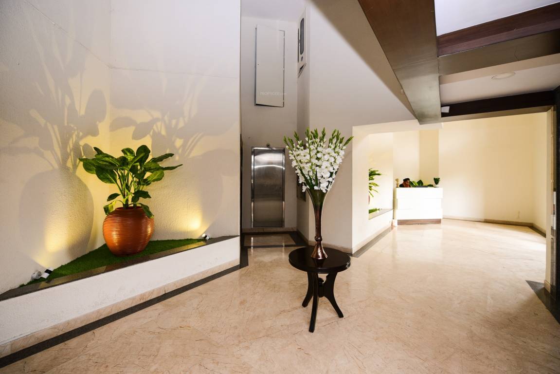 tropical tree Others