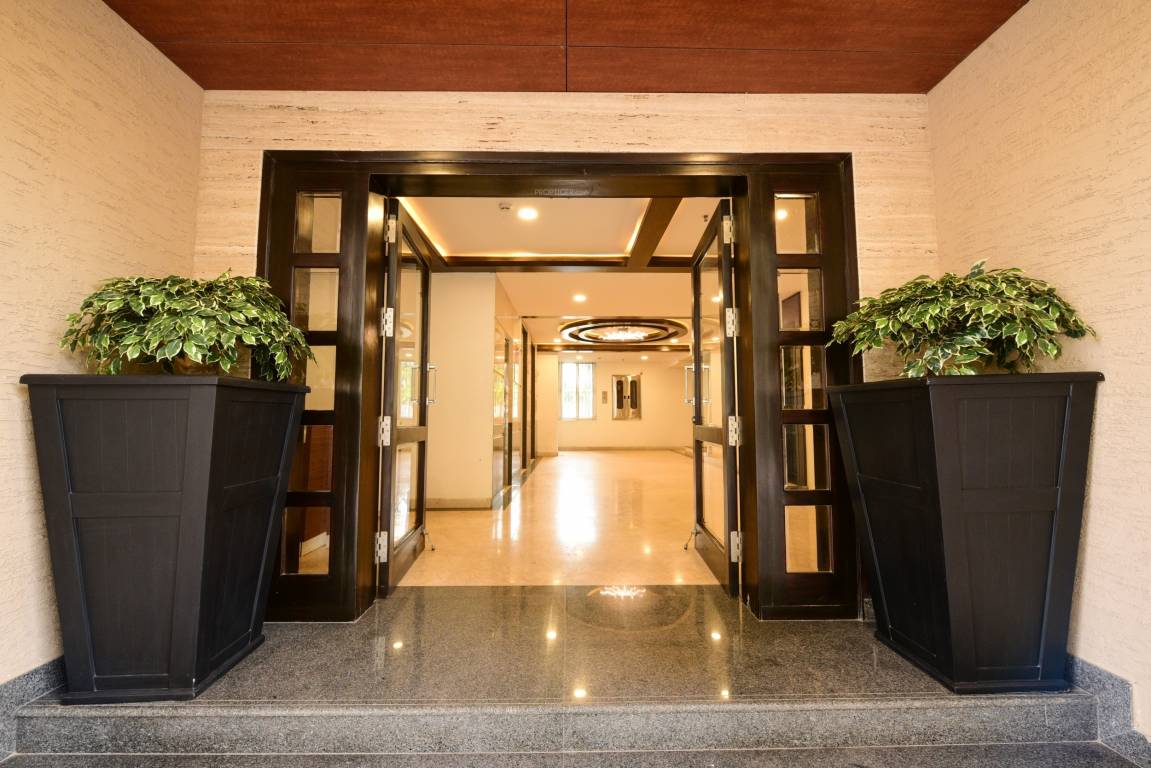 tropical tree Others