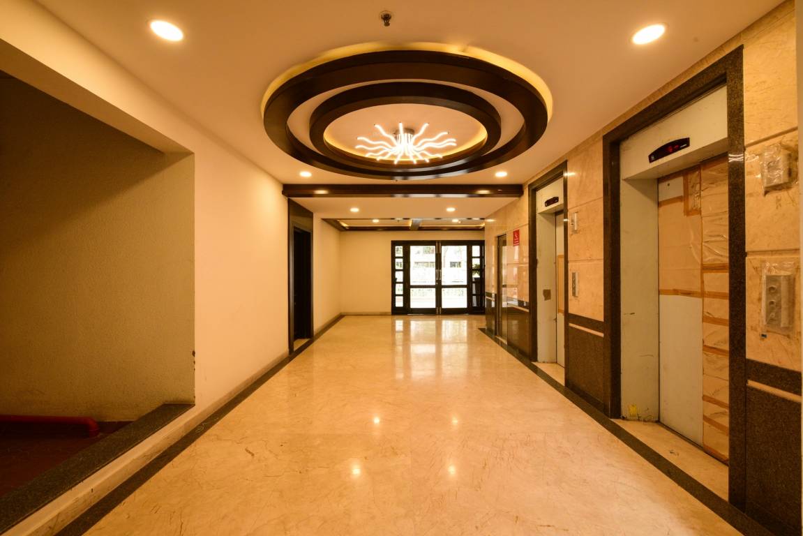 tropical tree Others