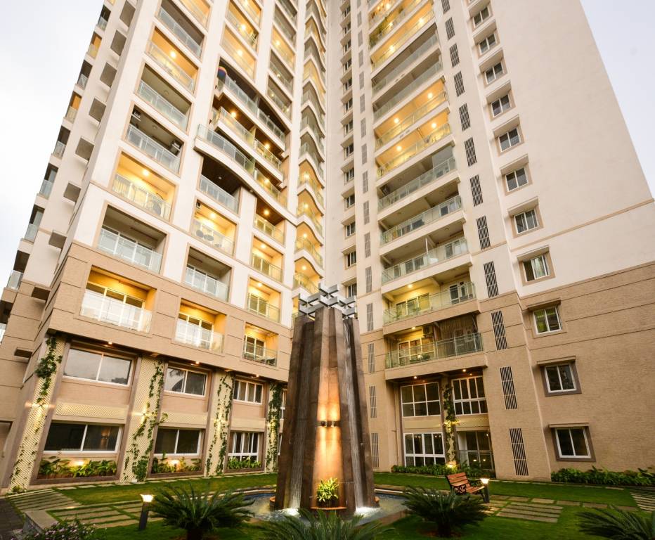 tropical tree Others