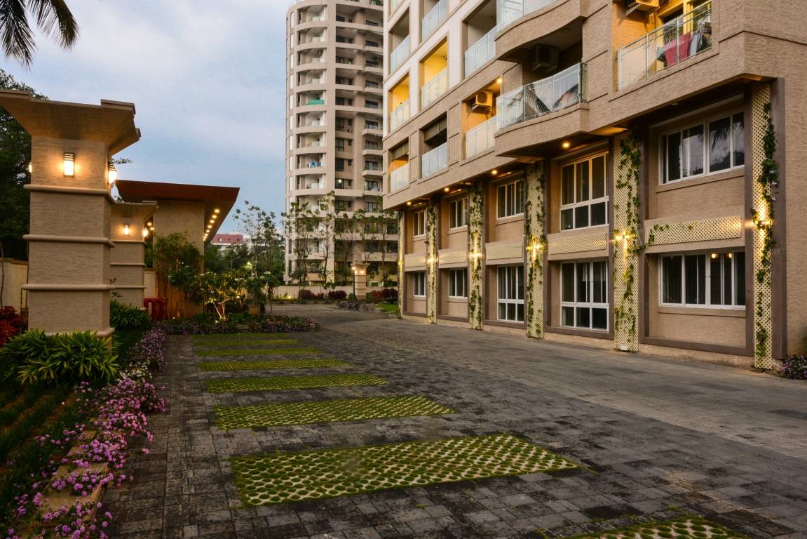 tropical tree Others