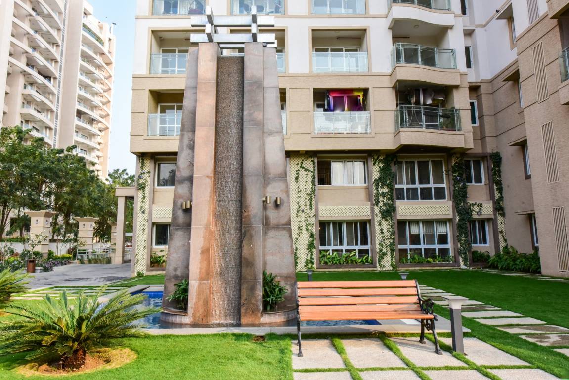 tropical tree Others