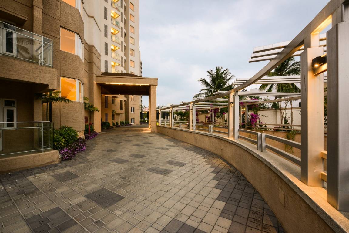 tropical tree Others