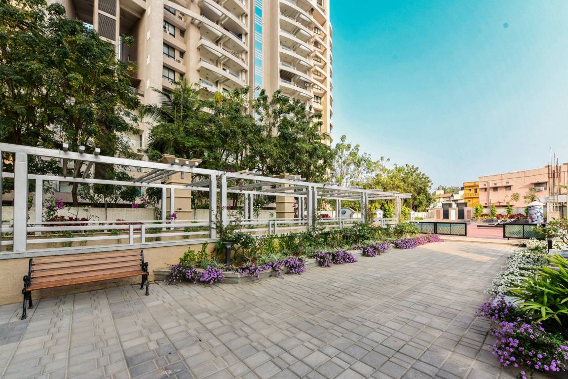 tropical tree Others